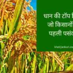 कम समय में अधिक उपज देने वाली धान की हाइब्रिड किस्में(2023)