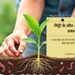 पौधों की जड़ें