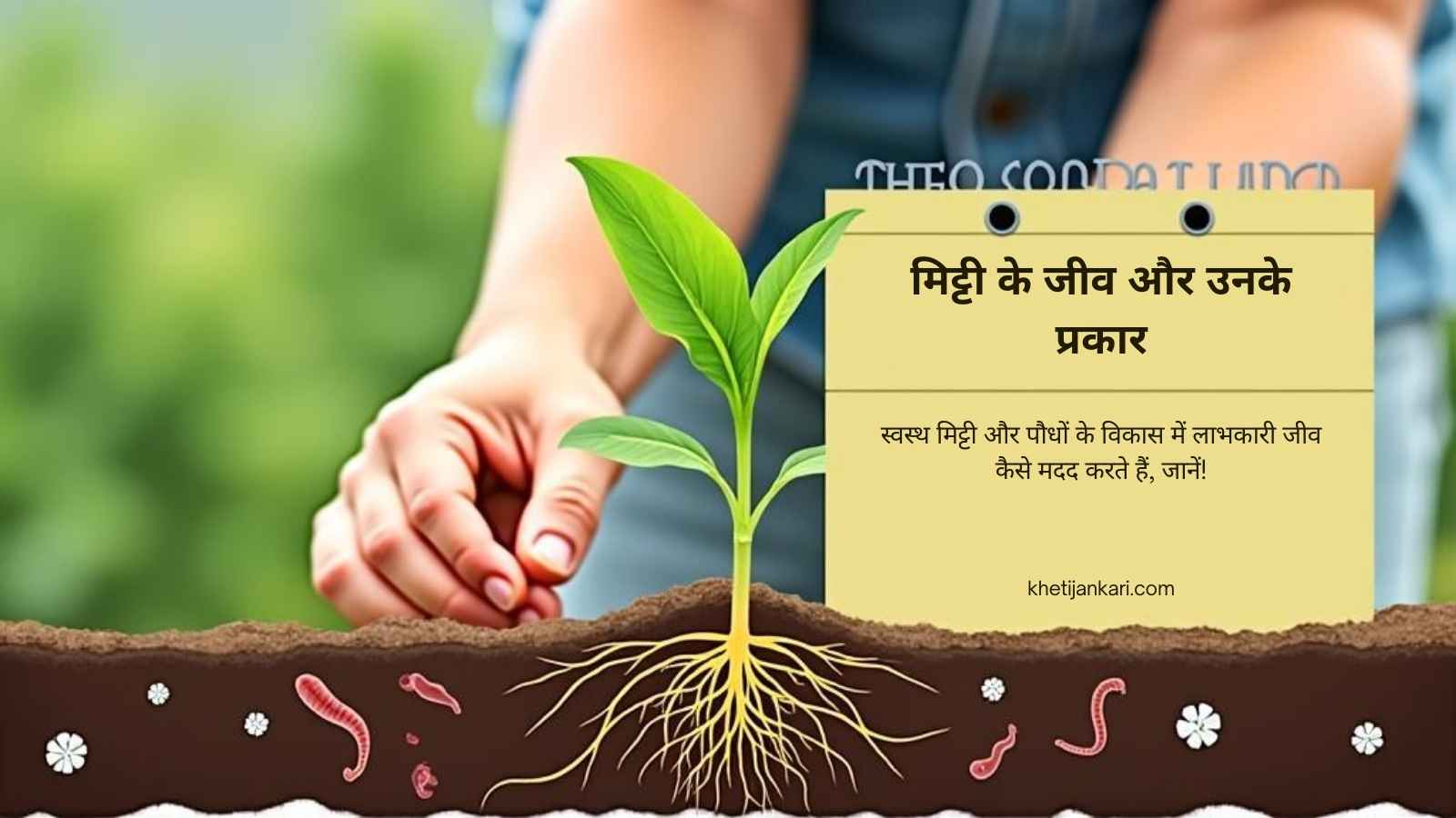 पौधों की जड़ें और मिट्टी के जीव: किसानों के लिए पूरी जानकारी