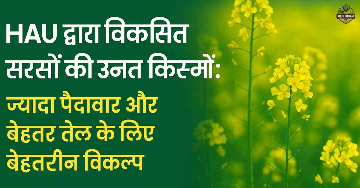 हरियाणा कृषि विश्वविद्यालय