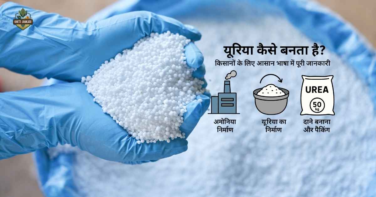 यूरिया