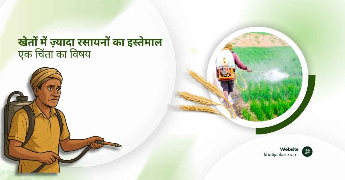 खेतों में रसायनों का ज्यादा इस्तेमाल