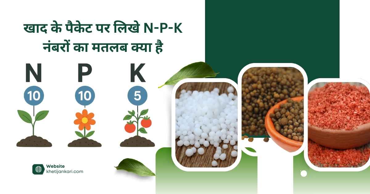 खाद में N-P-K अनुपात
