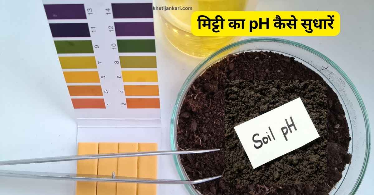 मिट्टी का pH स्तर क्या है