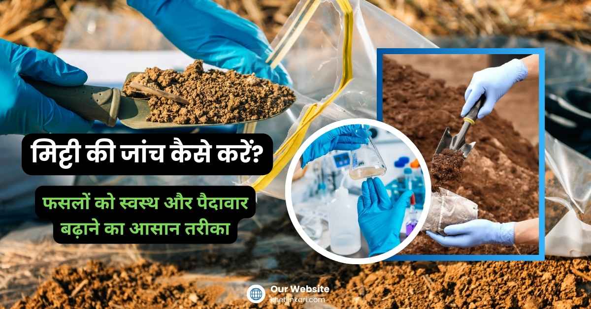 मिट्टी की जांच क्यों जरूरी है