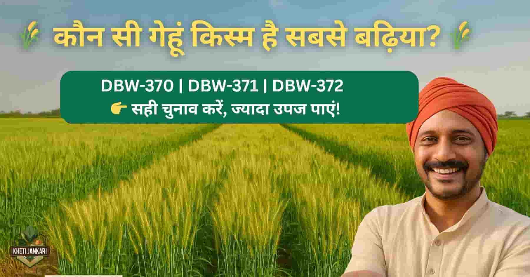 DBW 370, DBW 371 and DBW 372 wheat varieties