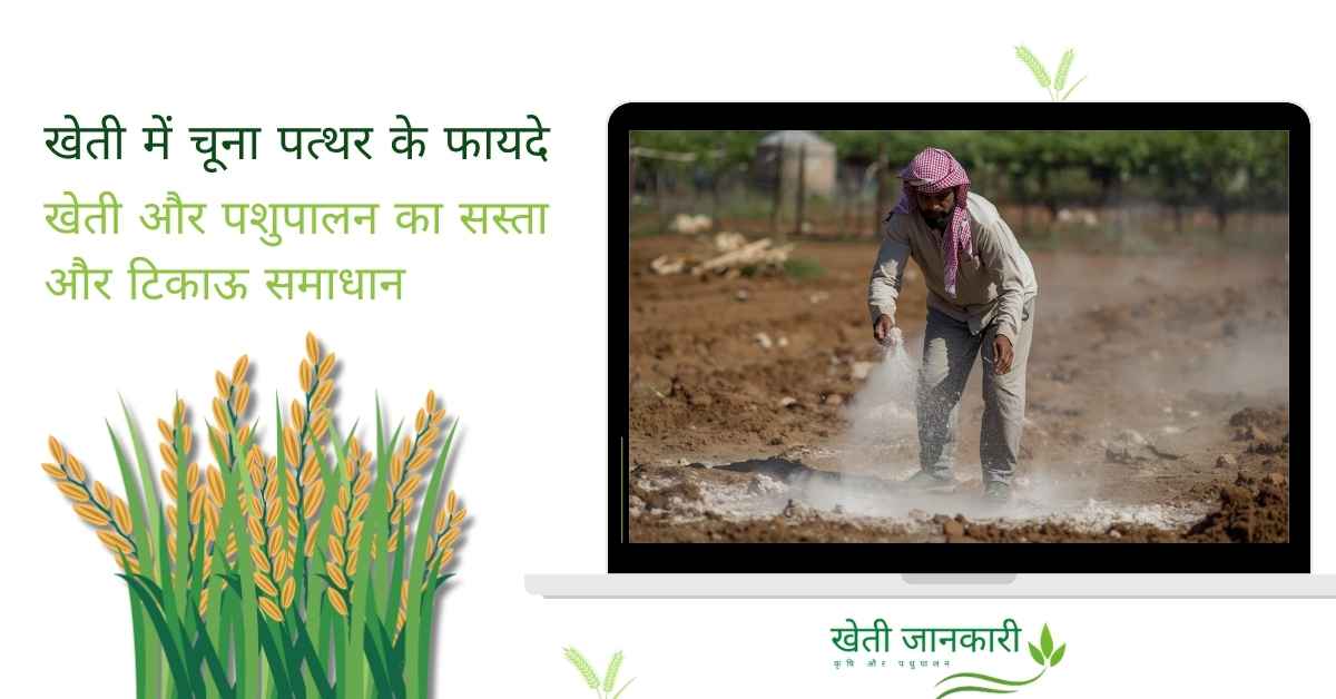 खेती में चूना पत्थर के फायदे