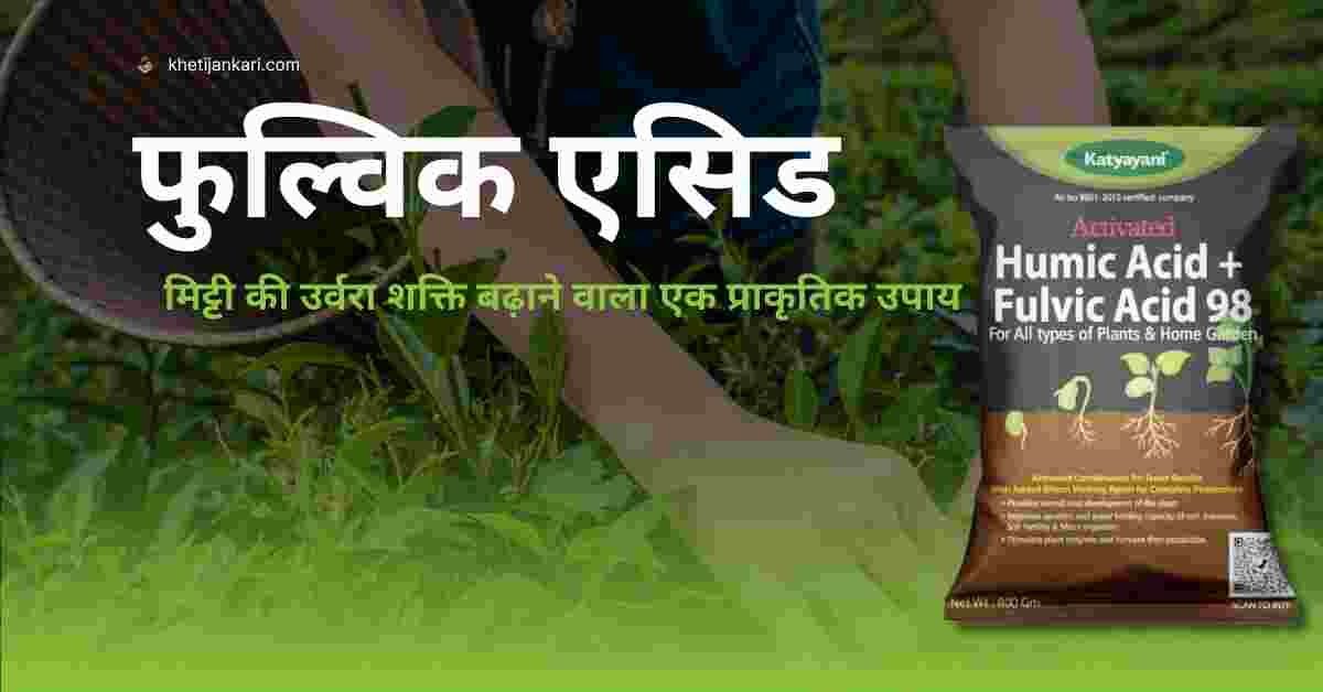 फुल्विक एसिड