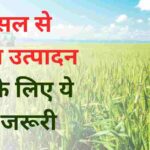 फसल उत्पादन दोगुना करने के 10 आसान टिप्स