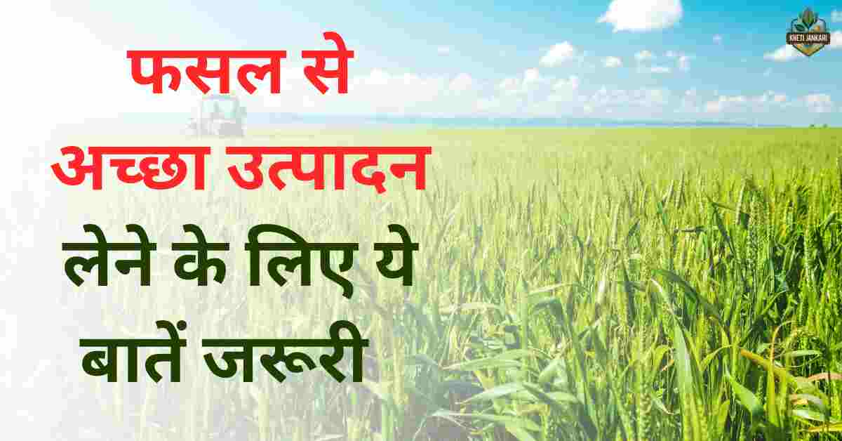 फसल उत्पादन दोगुना करने के 10 आसान टिप्स: 10 easy tips to double crop production