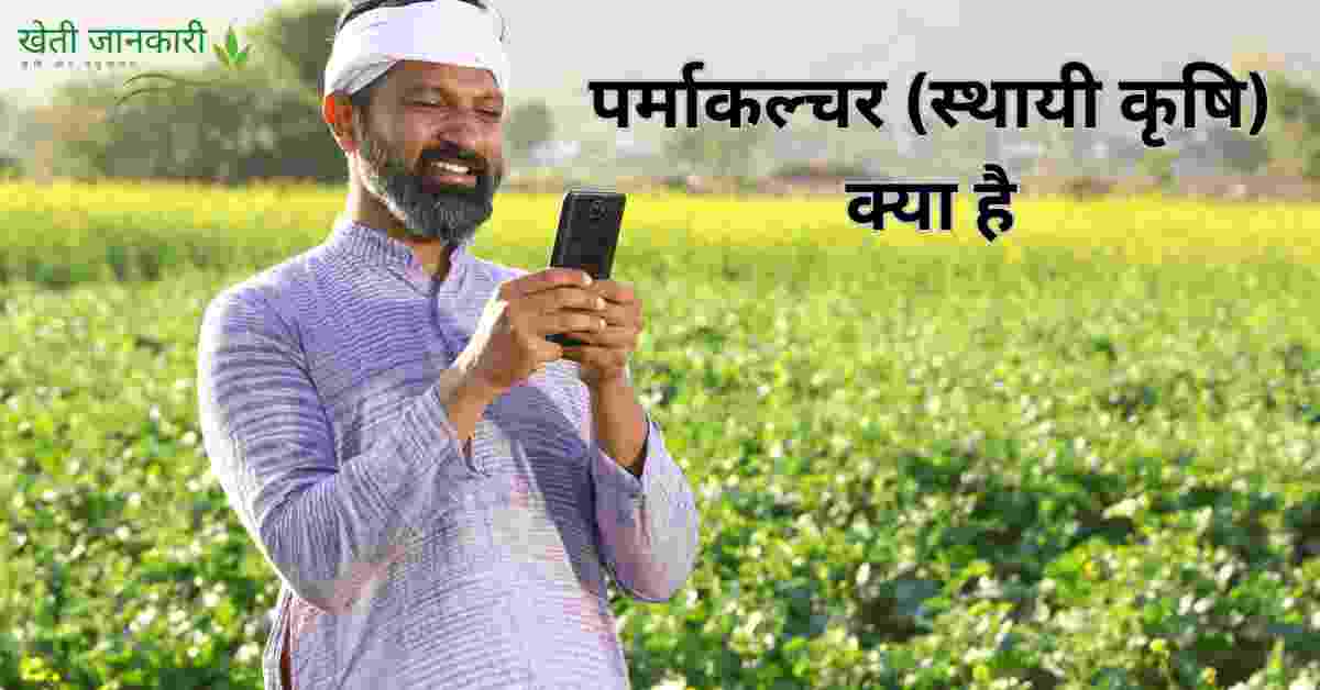 पर्माकल्चर (स्थायी कृषि) क्या है: इसके मुख्या सिद्धांत समझें: The rules of permaculture