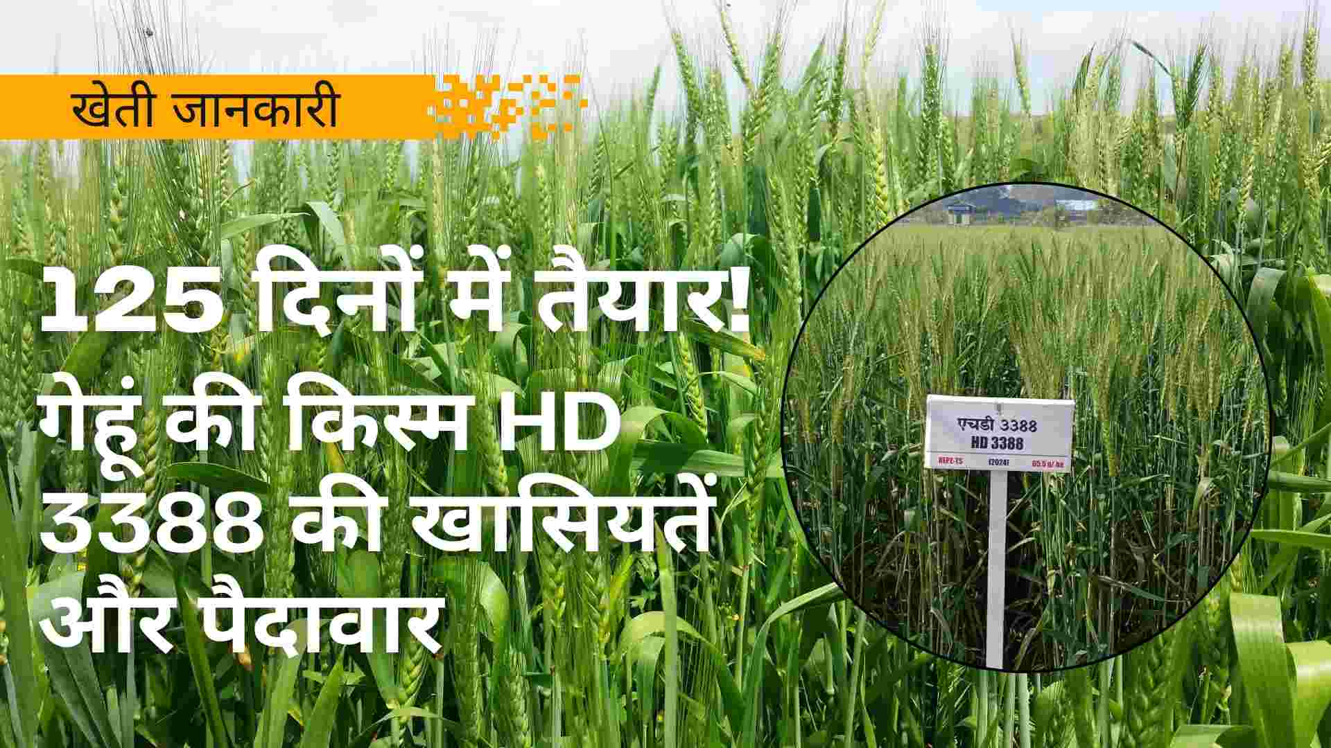 HD 3388